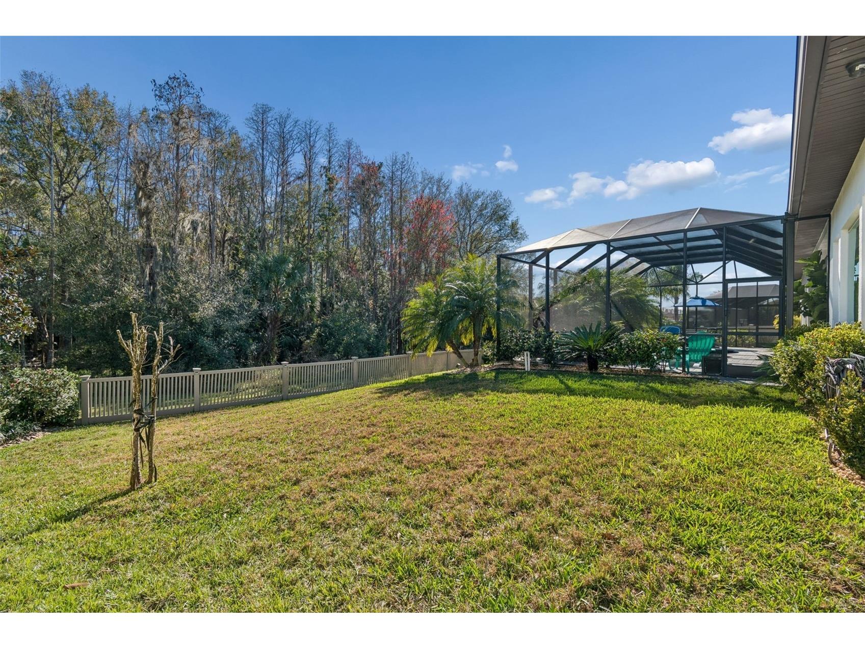 29118 Picana Lane Wesley Chapel FL 33543 TB8472655 image30