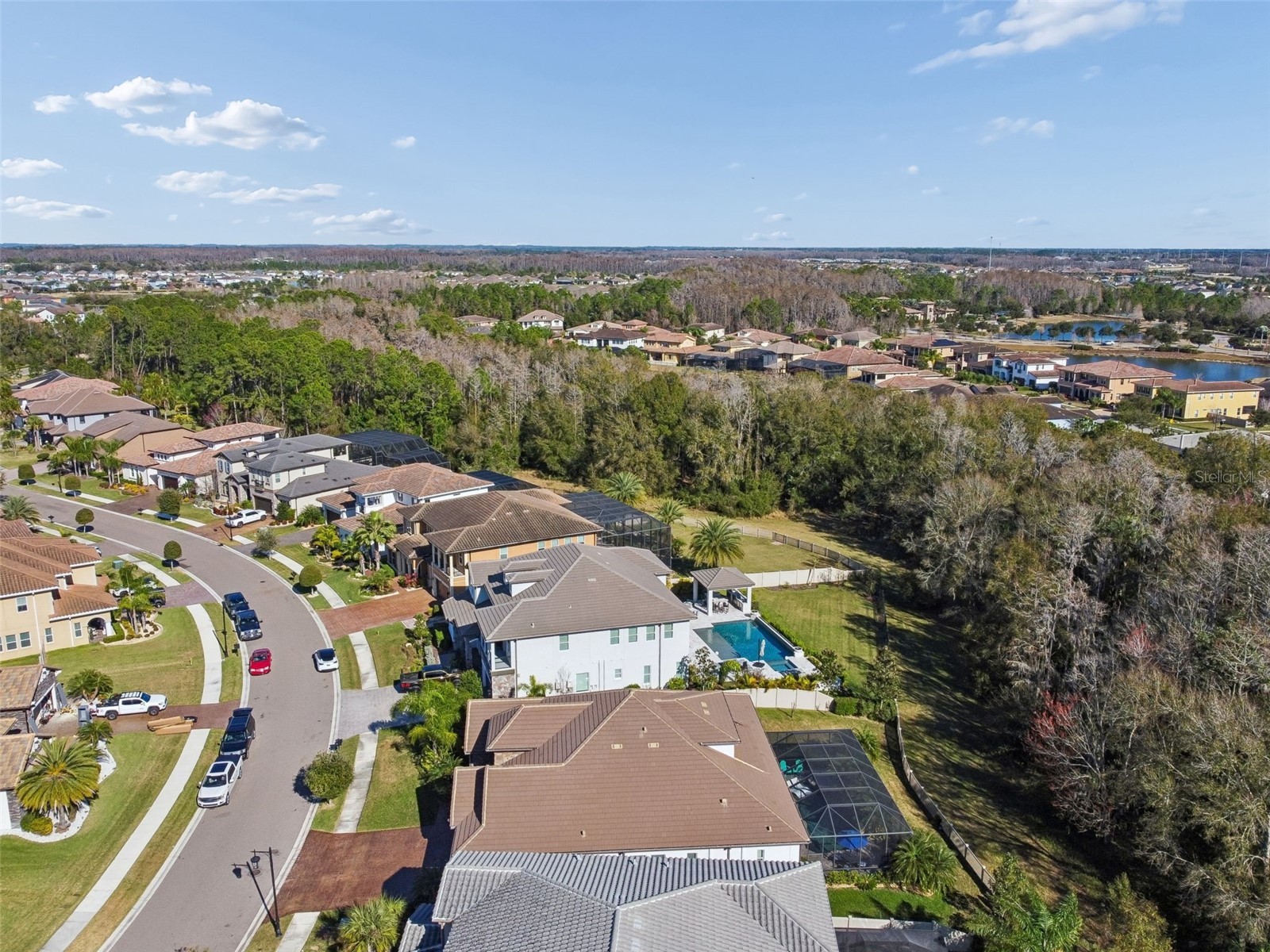 29118 Picana Lane Wesley Chapel FL 33543 TB8472655 image37