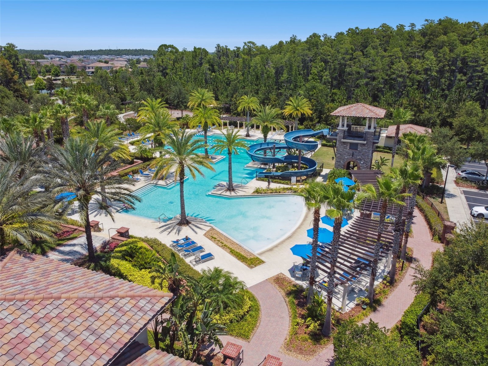 29118 Picana Lane Wesley Chapel FL 33543 TB8472655 image42