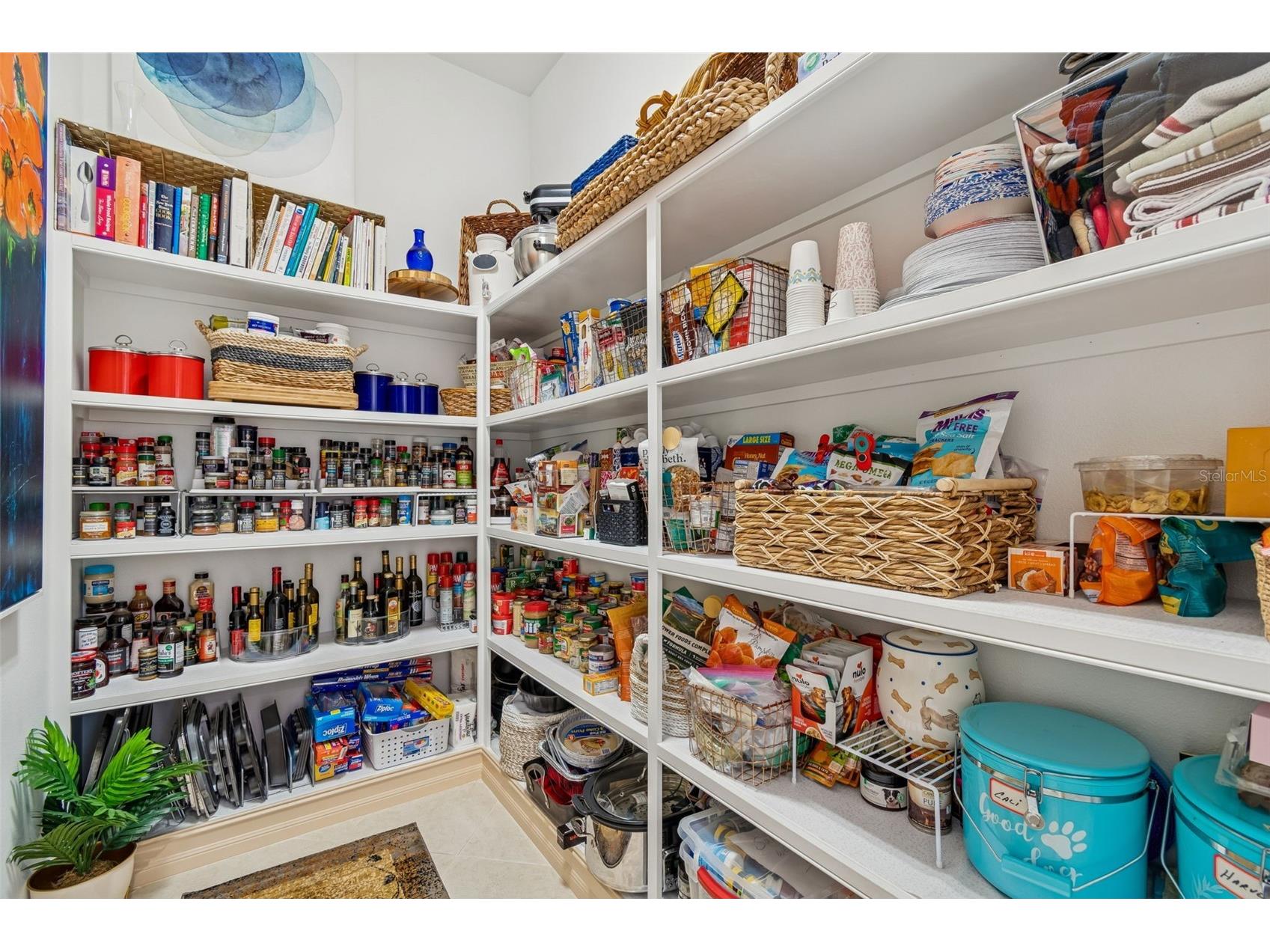 29118 Picana Lane Wesley Chapel FL 33543 TB8472655 image8