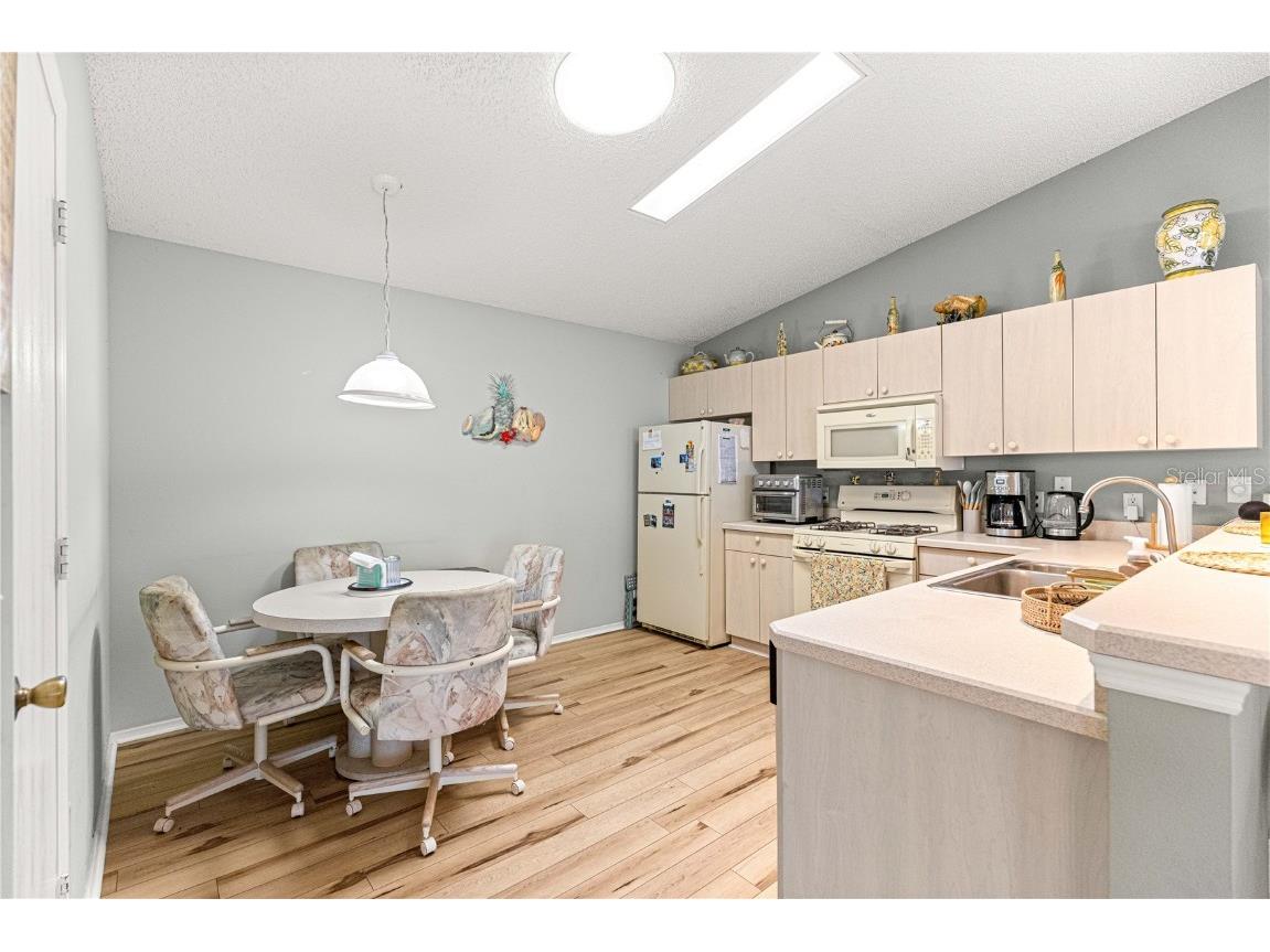 2912 Barboza Drive The Villages FL 32162 G5103511 image7