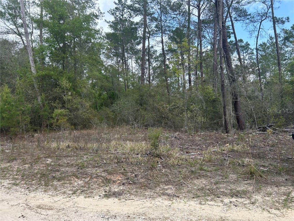 2912 Collins Street Inverness FL 34452 OM674950 image1