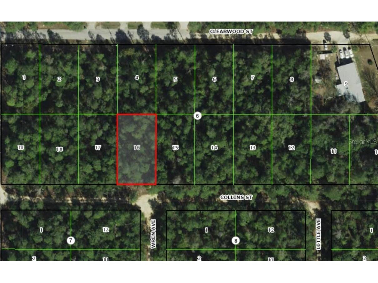 2912 Collins Street Inverness FL 34452 OM709634 image1