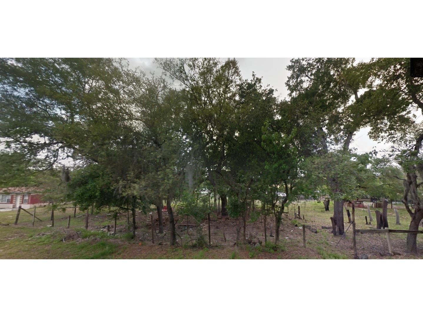 2912 N Mcqueen Road Apopka FL 32703 - LAKE MITCHELL O6137678 image1