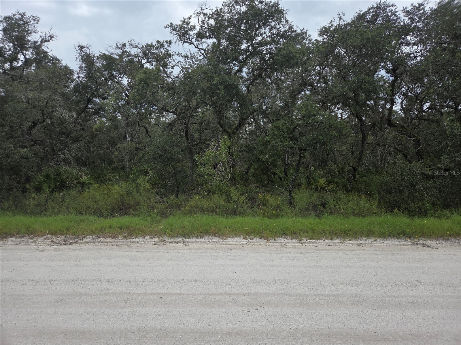 2912 Sand Pine Trail Frostproof FL 33843 K4903076 image1