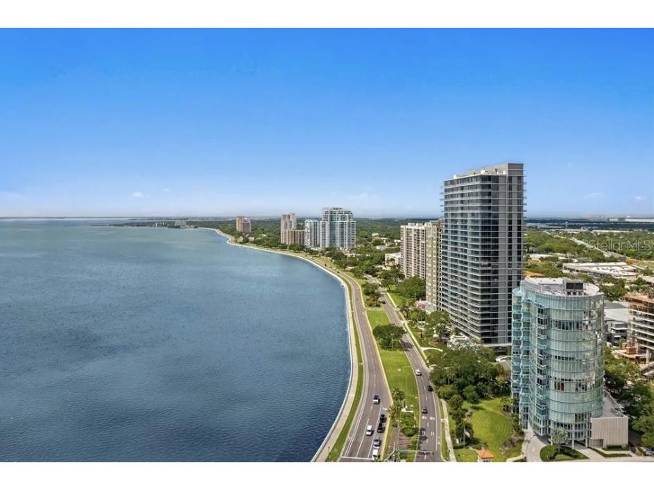 2912 W Santiago Street #1703 Tampa FL 33629 TB8467197 image3