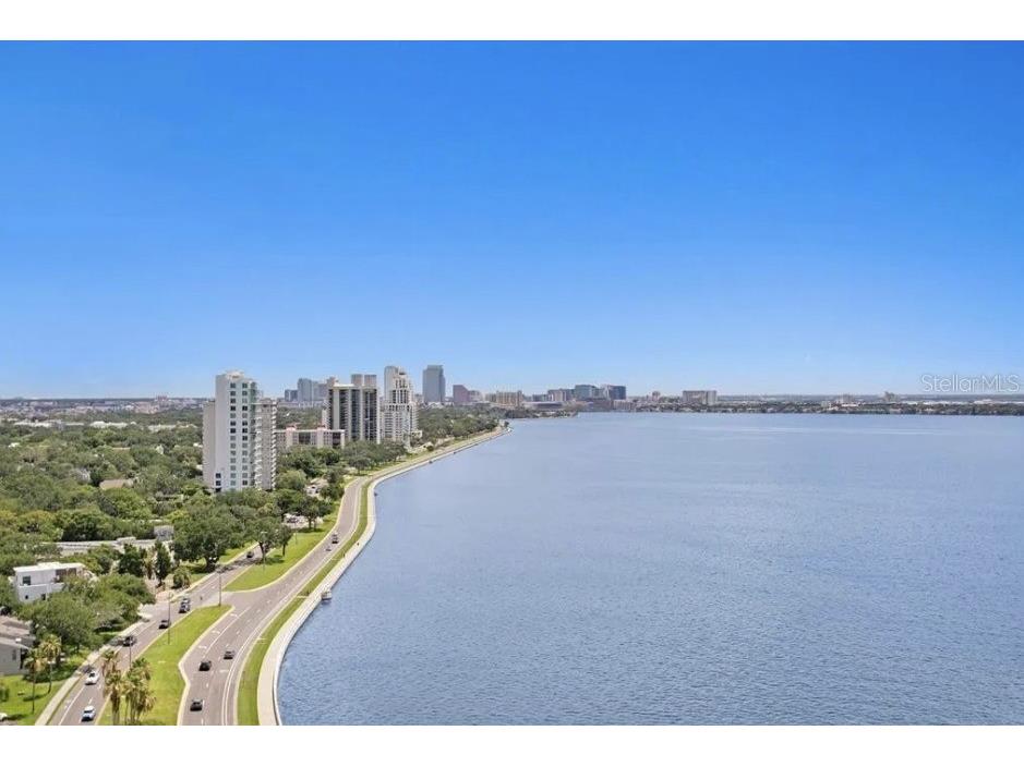 2912 W Santiago Street #1703 Tampa FL 33629 TB8467197 image4