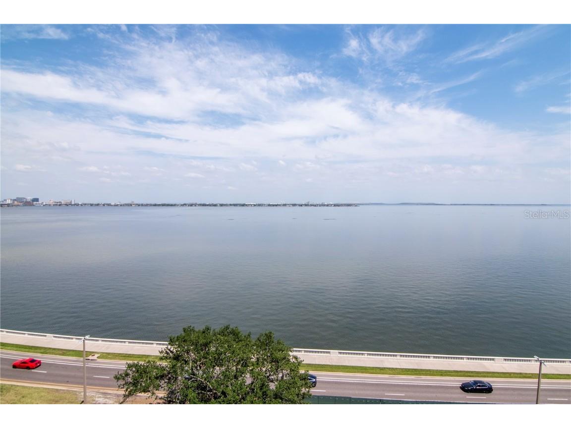 2912 W Santiago Street #804 Tampa FL 33629 TB8449049 image56