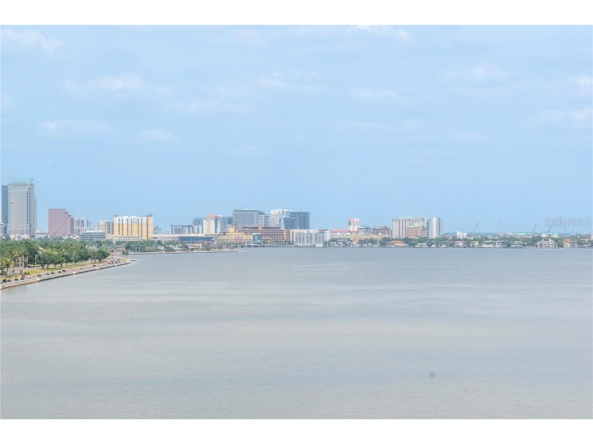 2912 W Santiago Street #804 Tampa FL 33629 TB8449049 image61