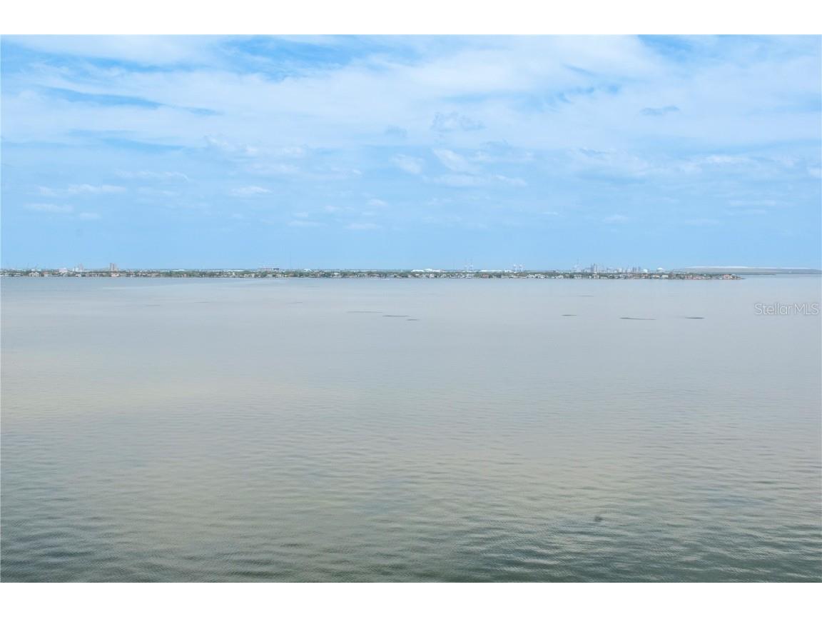 2912 W Santiago Street #804 Tampa FL 33629 TB8449049 image65