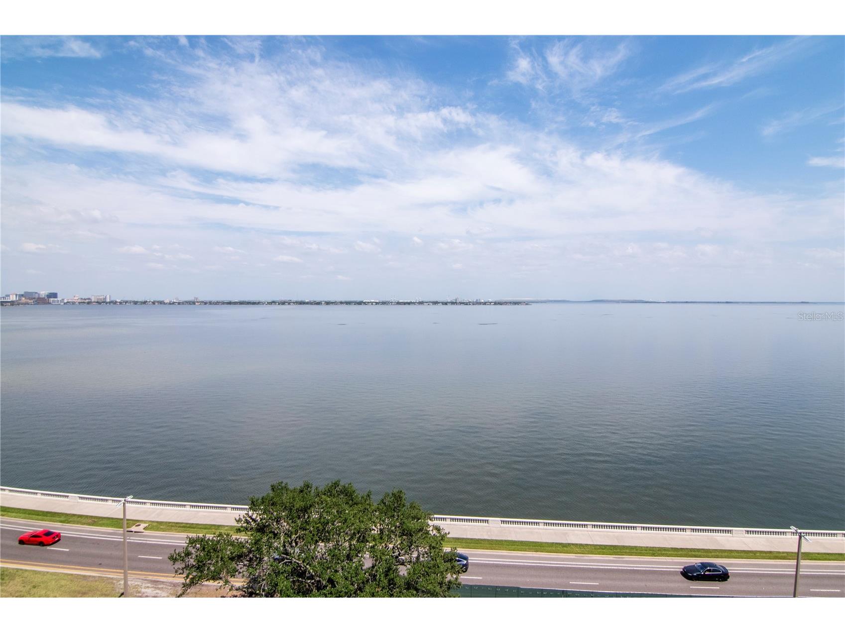 3101 W Bayshore Boulevard #804 Tampa FL 33629 TB8483475 image31