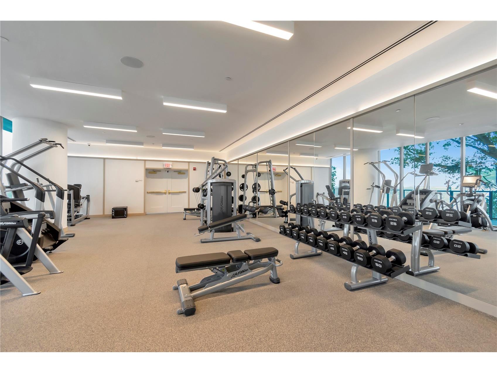 3101 W Bayshore Boulevard #804 Tampa FL 33629 TB8483475 image54