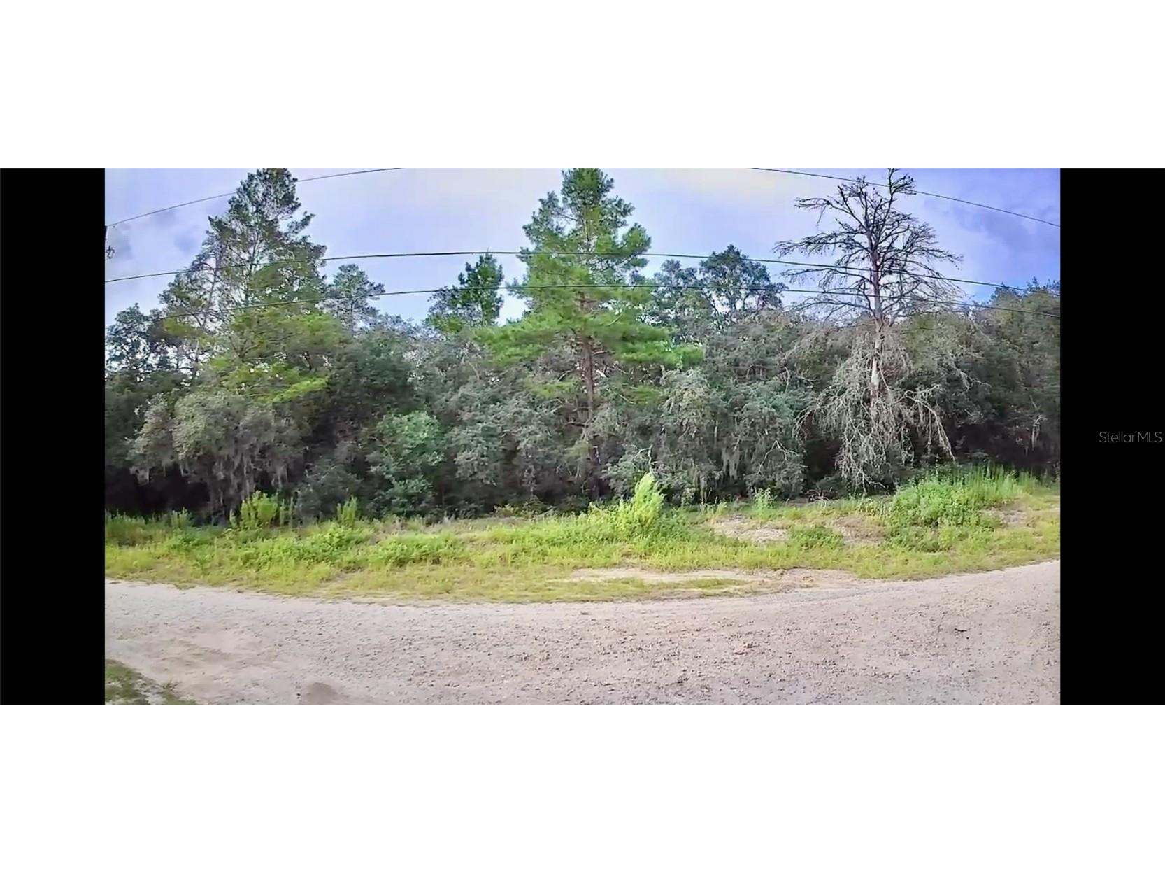 2912 Woodhill Street Inverness FL 34452 TB8355141 image1
