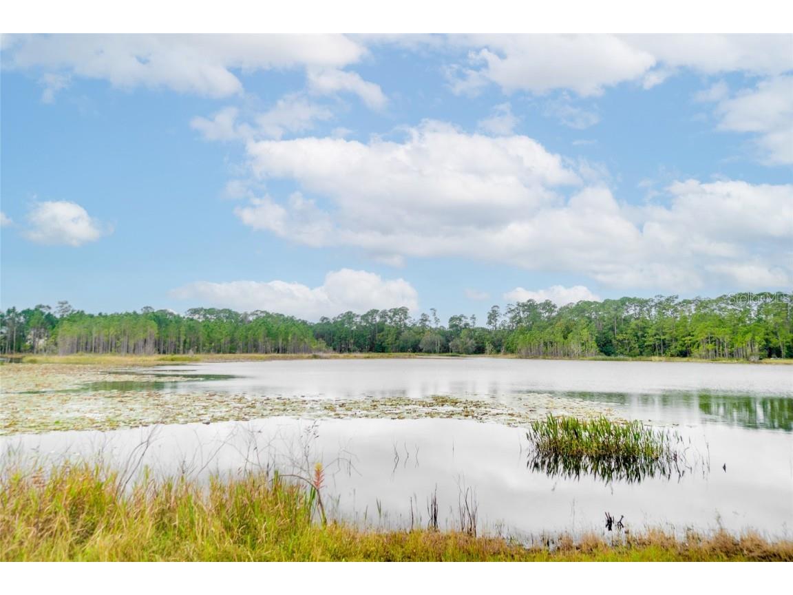2912 Woodlands Park Court Lake Mary FL 32746 O6355882 image18