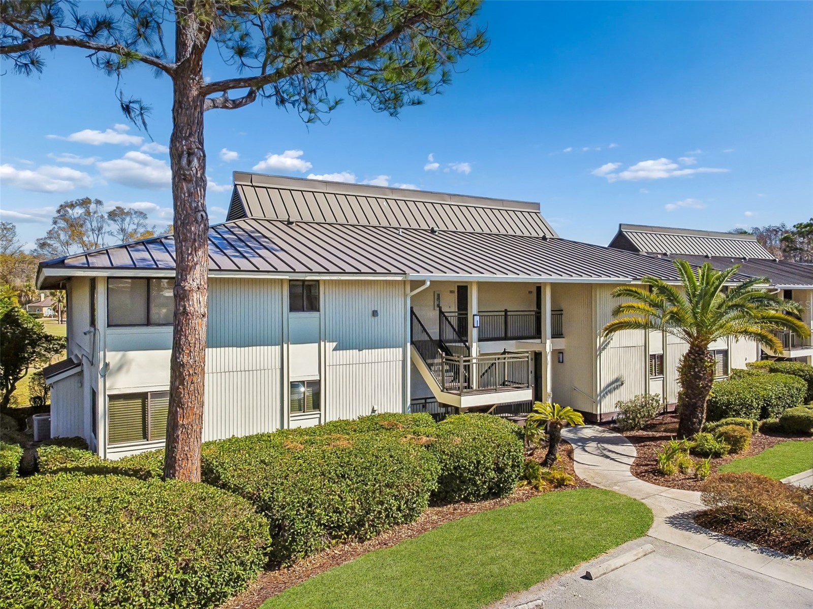 29129 Bay Hollow Drive #3202 Wesley Chapel FL 33543 TB8479070 image1
