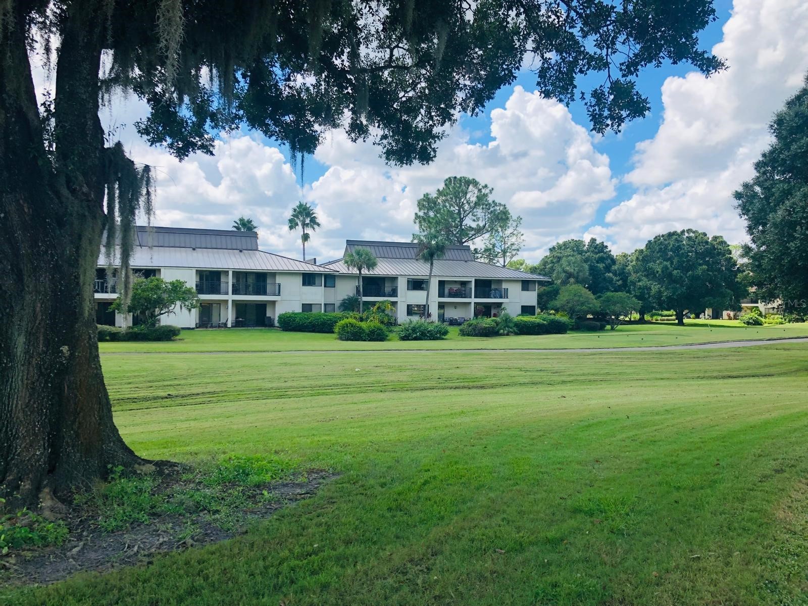 29129 Bay Hollow Drive #3203 Wesley Chapel FL 33543 TB8481807 image1