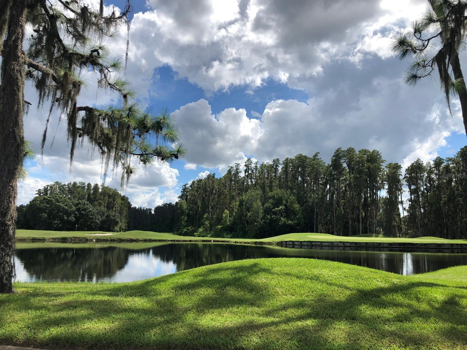 29129 Bay Hollow Drive #3203 Wesley Chapel FL 33543 TB8481807 image11