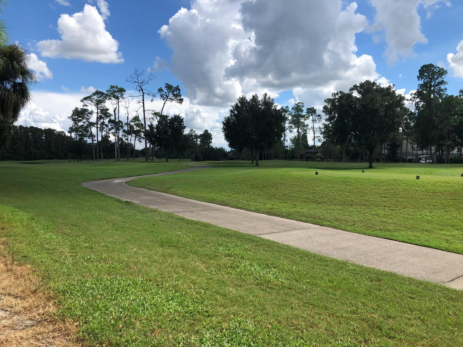 29129 Bay Hollow Drive #3203 Wesley Chapel FL 33543 TB8481807 image12