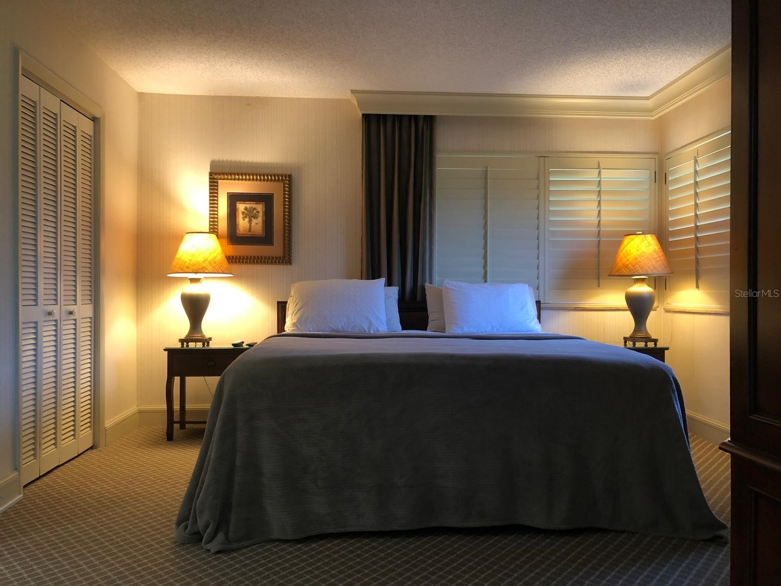 29129 Bay Hollow Drive #3203 Wesley Chapel FL 33543 TB8481807 image5