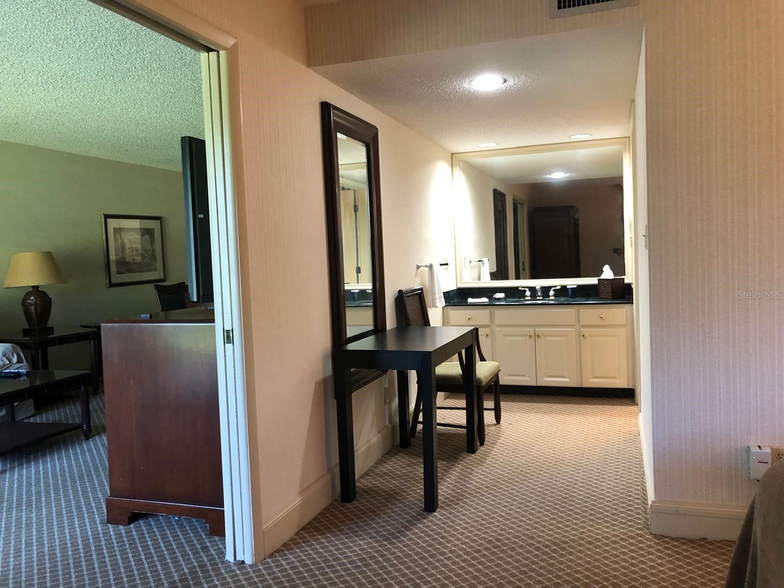 29129 Bay Hollow Drive #3203 Wesley Chapel FL 33543 TB8481807 image6