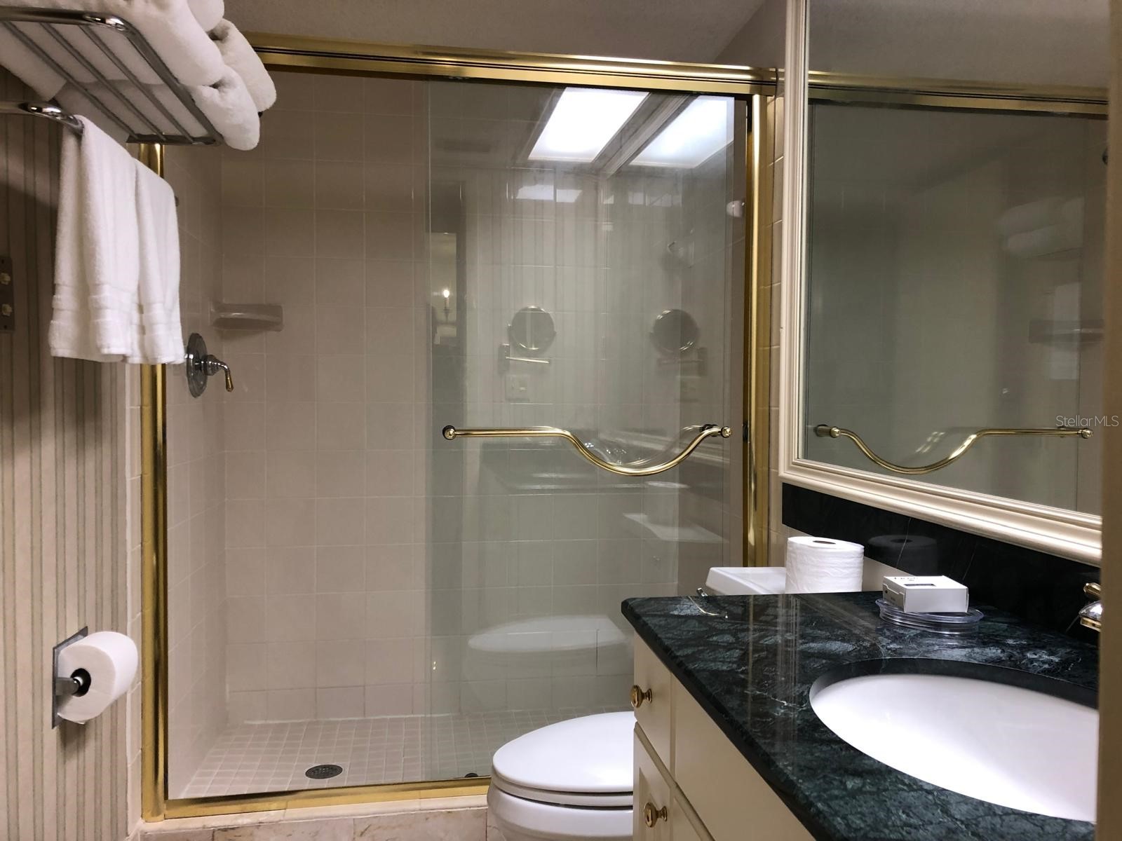29129 Bay Hollow Drive #3203 Wesley Chapel FL 33543 TB8481807 image8