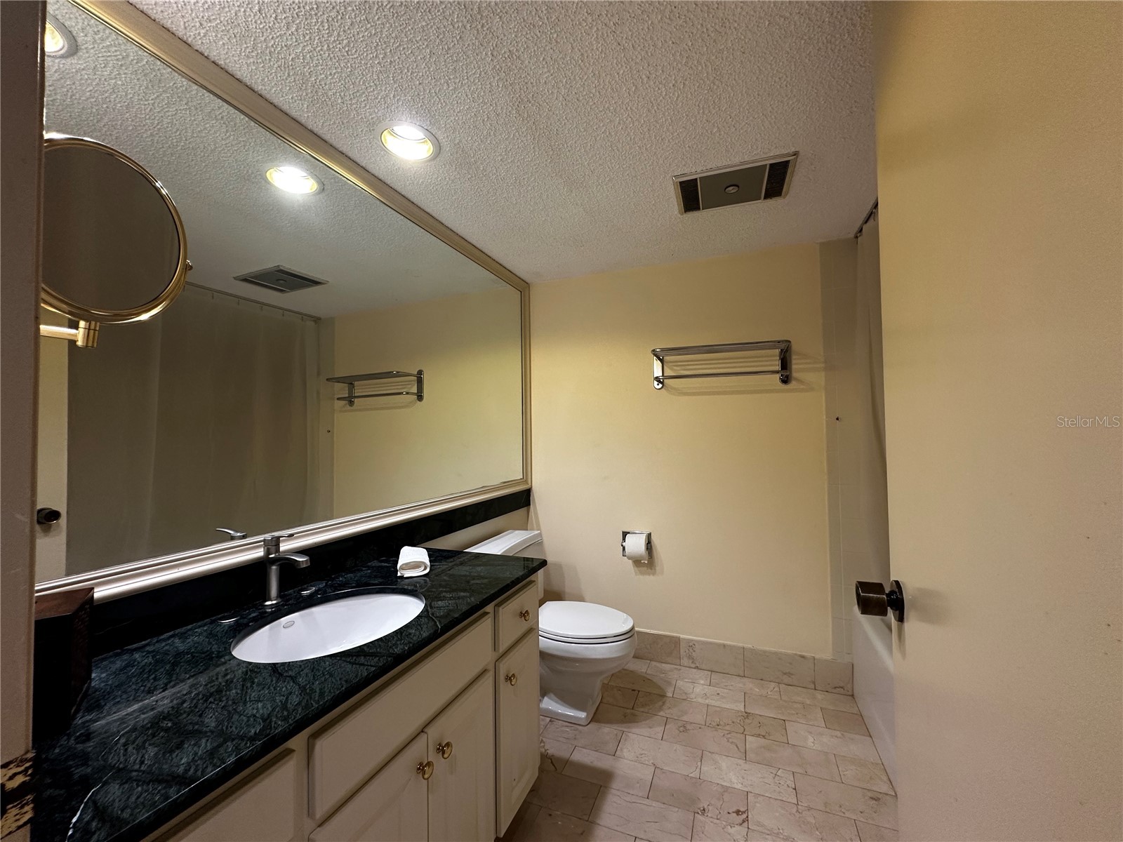 29129 Bay Hollow Drive #3205 Wesley Chapel FL 33543 TB8389233 image10