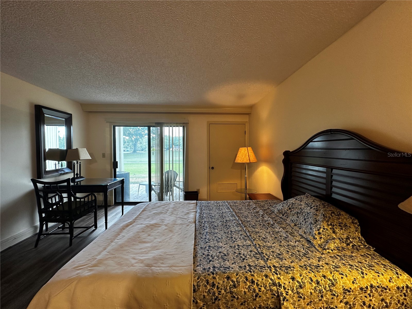 29129 Bay Hollow Drive #3205 Wesley Chapel FL 33543 TB8389233 image2