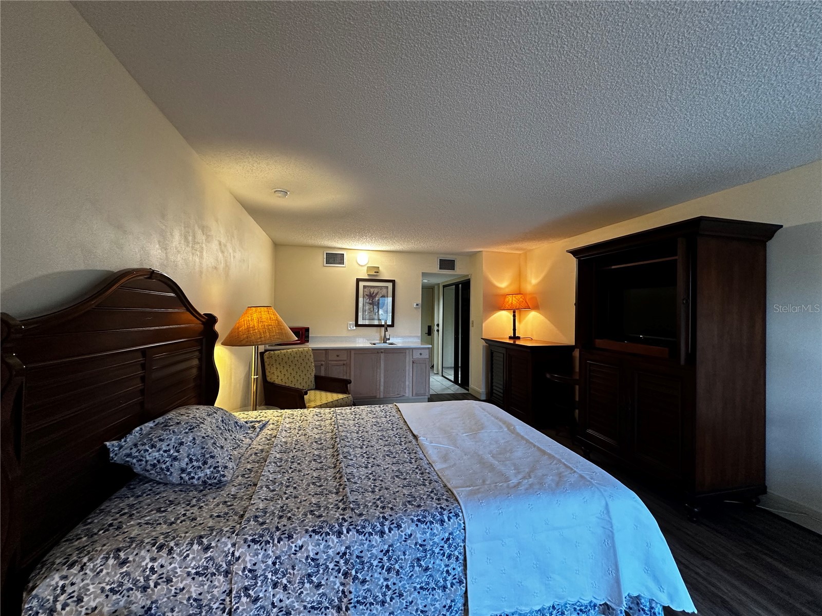 29129 Bay Hollow Drive #3205 Wesley Chapel FL 33543 TB8389233 image4