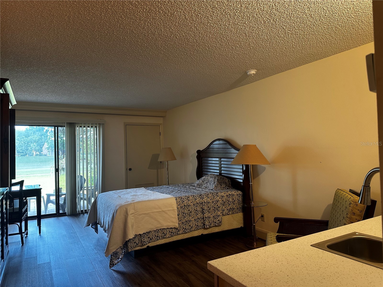 29129 Bay Hollow Drive #3205 Wesley Chapel FL 33543 TB8389233 image6
