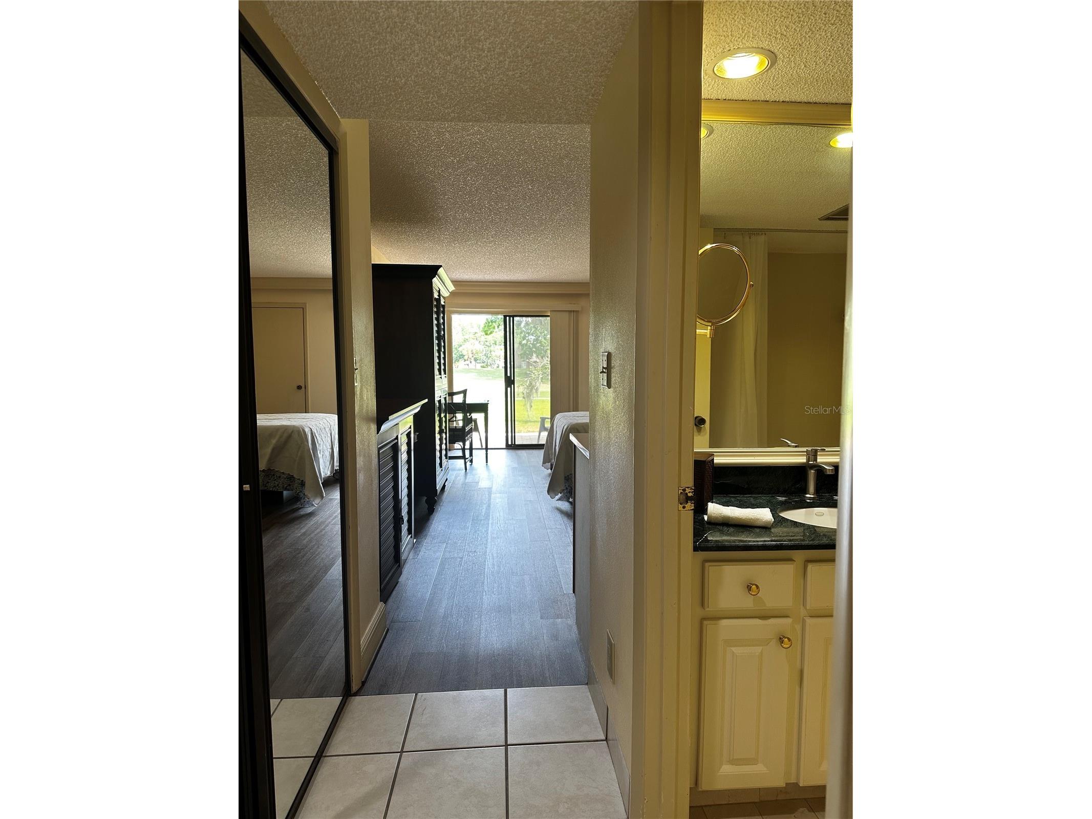 29129 Bay Hollow Drive #3205 Wesley Chapel FL 33543 TB8389233 image7