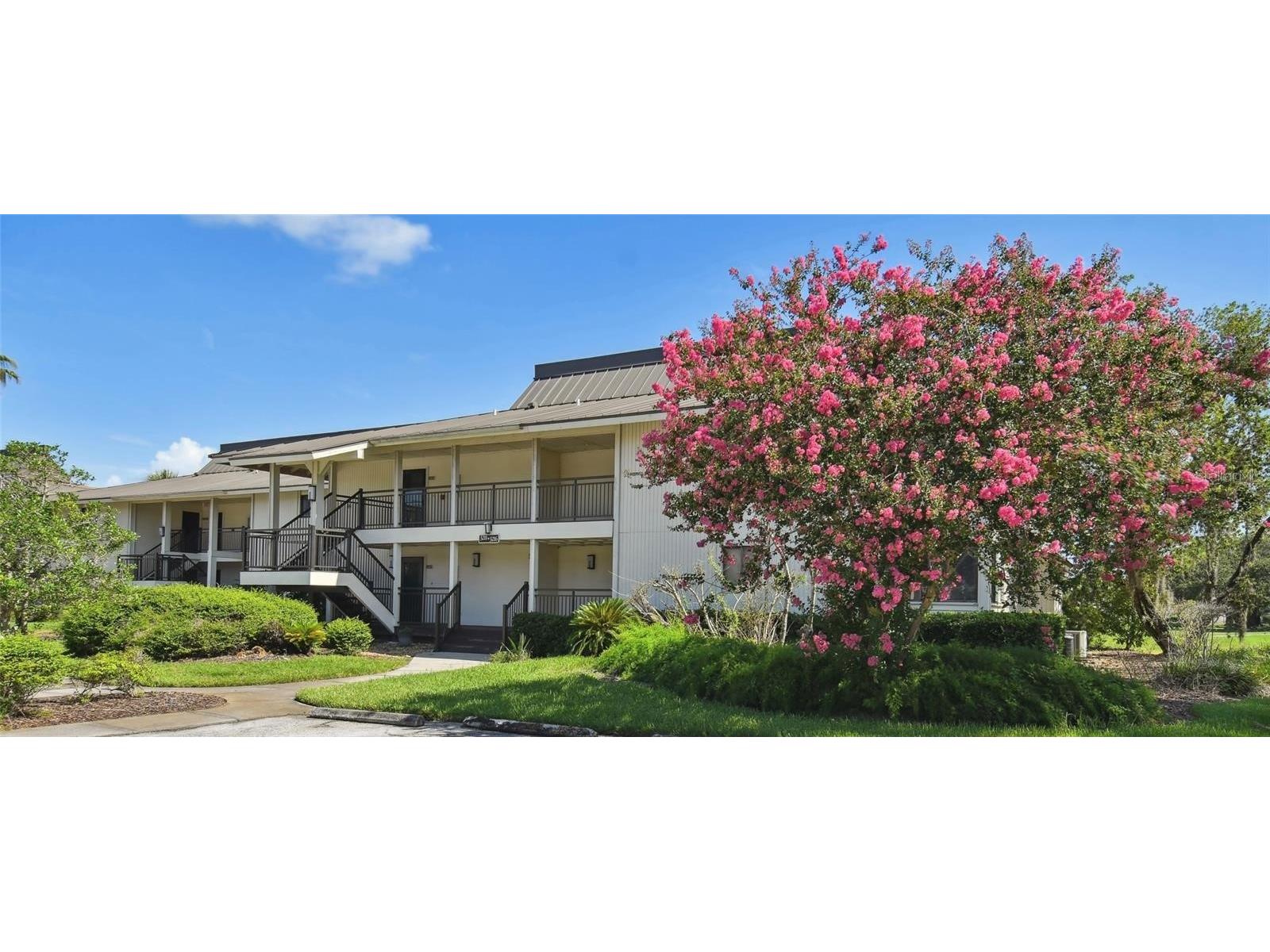 29129 Bay Hollow Drive #3212 Wesley Chapel FL 33543 TB8515067 image1