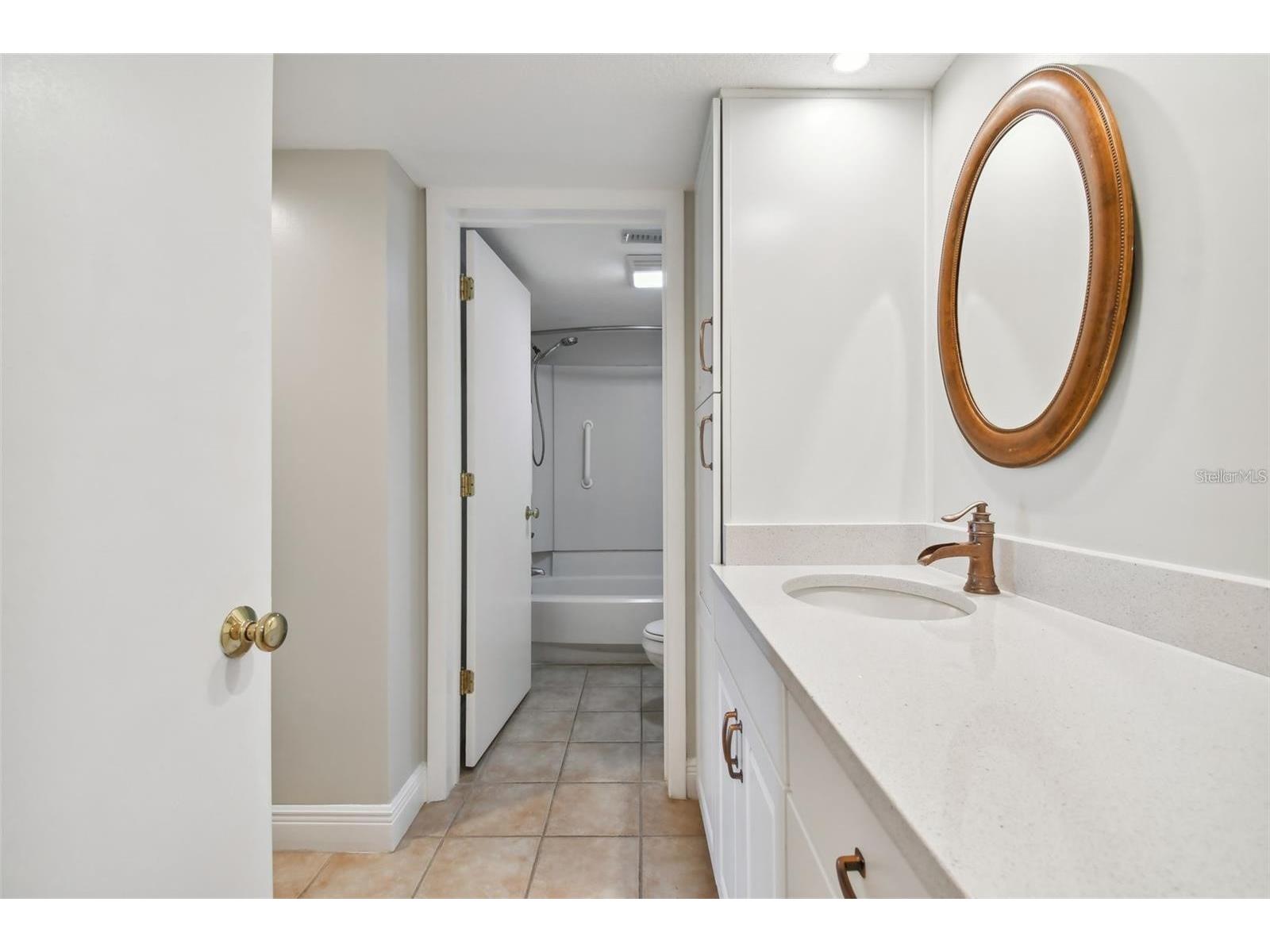 29129 Bay Hollow Drive #3212 Wesley Chapel FL 33543 TB8515067 image14