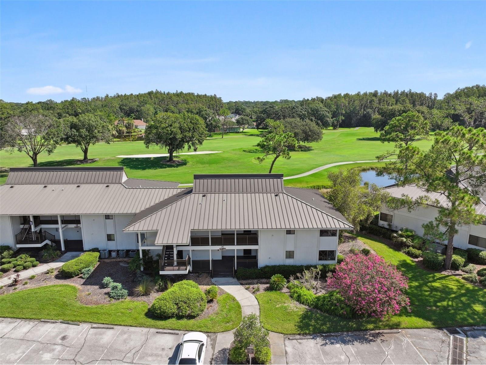 29129 Bay Hollow Drive #3212 Wesley Chapel FL 33543 TB8515067 image18