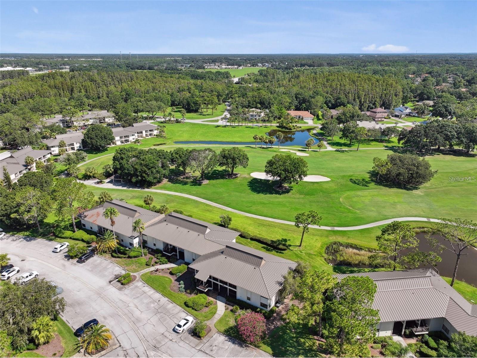 29129 Bay Hollow Drive #3212 Wesley Chapel FL 33543 TB8515067 image19