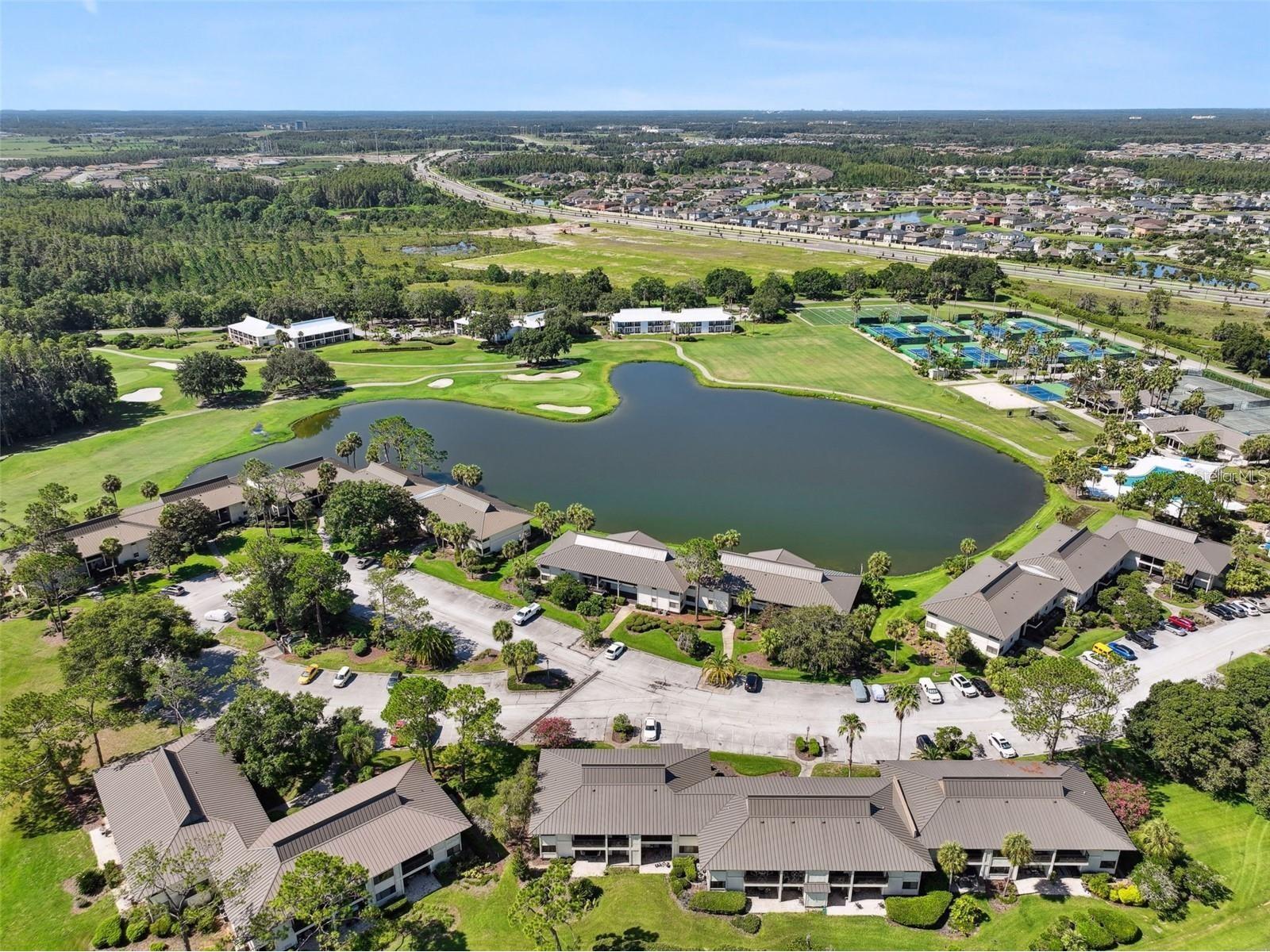 29129 Bay Hollow Drive #3212 Wesley Chapel FL 33543 TB8515067 image20