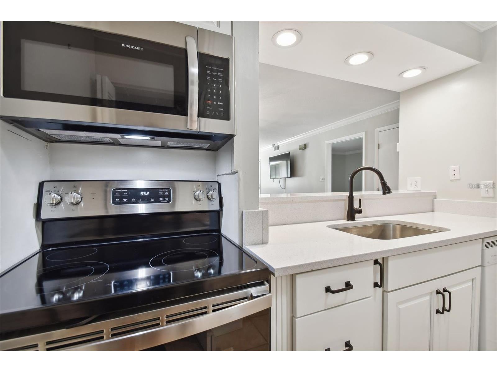 29129 Bay Hollow Drive #3212 Wesley Chapel FL 33543 TB8515067 image6