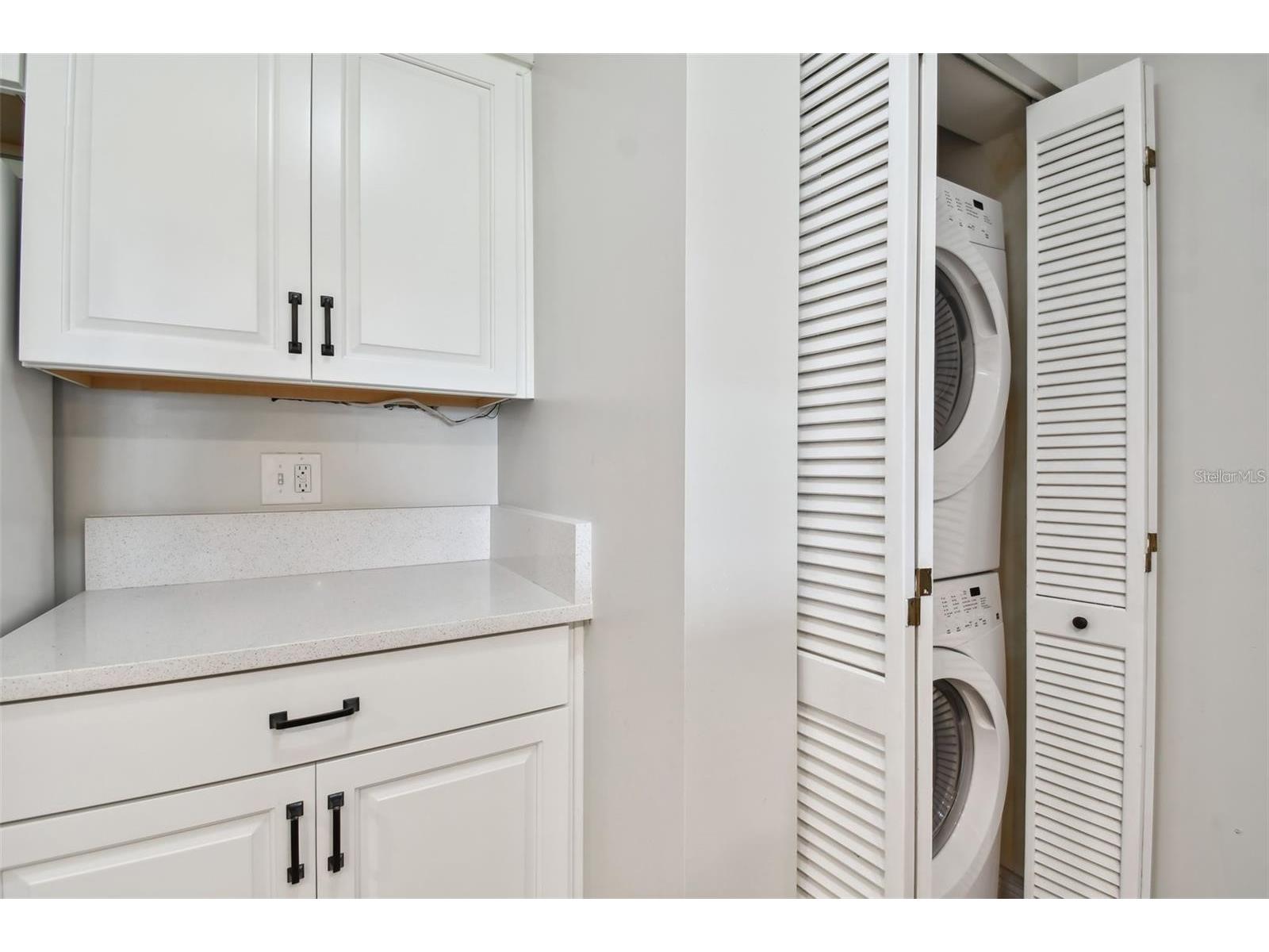 29129 Bay Hollow Drive #3212 Wesley Chapel FL 33543 TB8515067 image7