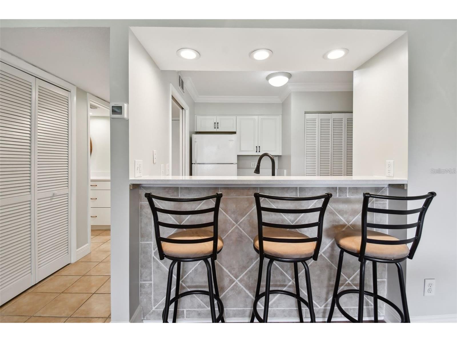 29129 Bay Hollow Drive #3212 Wesley Chapel FL 33543 TB8515067 image8