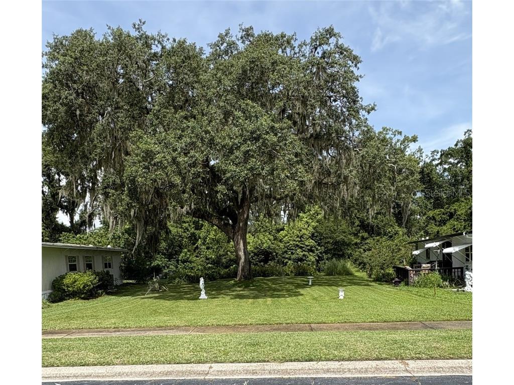 29129 E Johnston Road #2510 Dade City FL 33523 TB8440100 image2