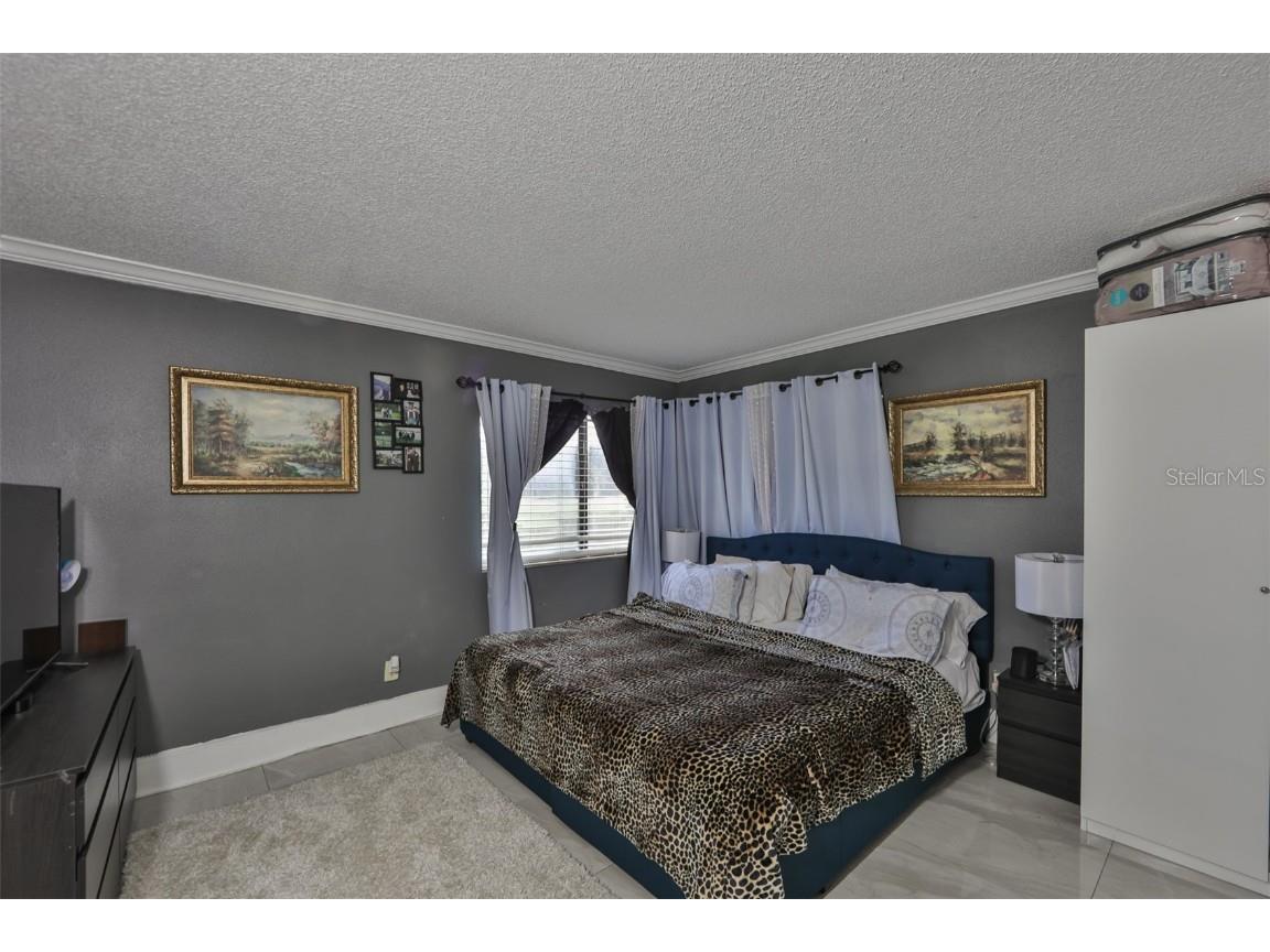 29129 S Bay Hollow Drive S #3213 Wesley Chapel FL 33543 TB8305289 image12