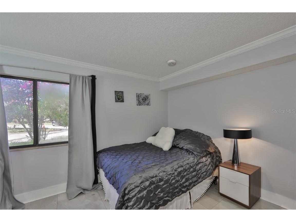 29129 S Bay Hollow Drive S #3213 Wesley Chapel FL 33543 TB8305289 image13