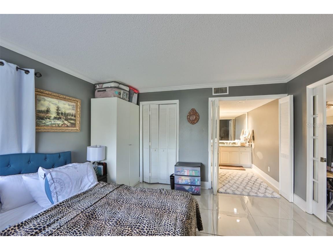 29129 S Bay Hollow Drive S #3213 Wesley Chapel FL 33543 TB8305289 image14