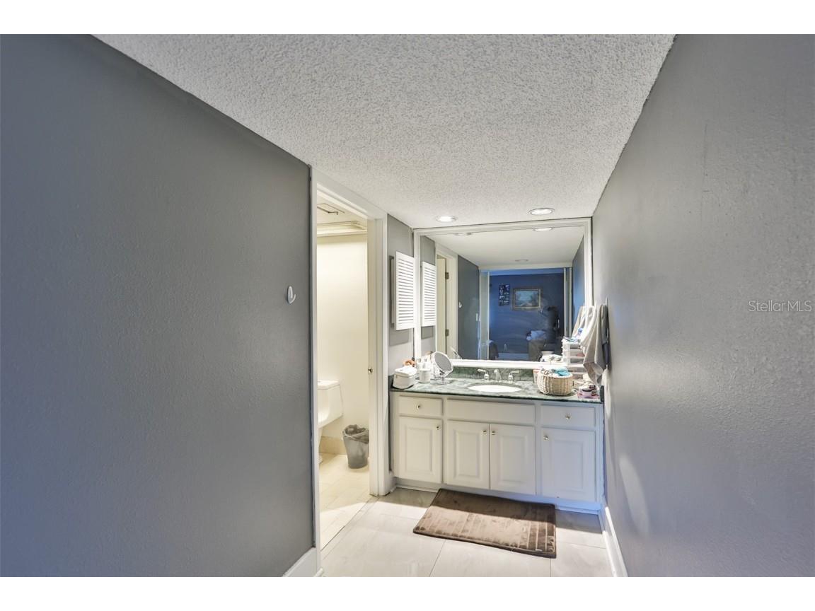 29129 S Bay Hollow Drive S #3213 Wesley Chapel FL 33543 TB8305289 image15