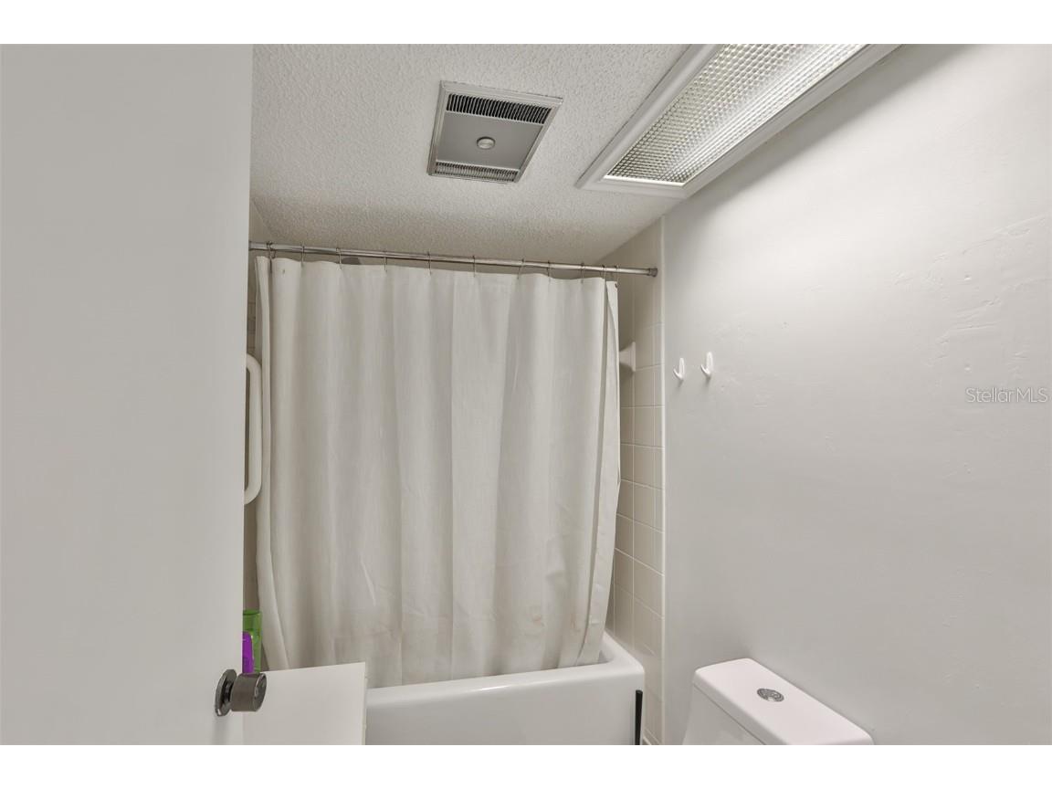 29129 S Bay Hollow Drive S #3213 Wesley Chapel FL 33543 TB8305289 image16