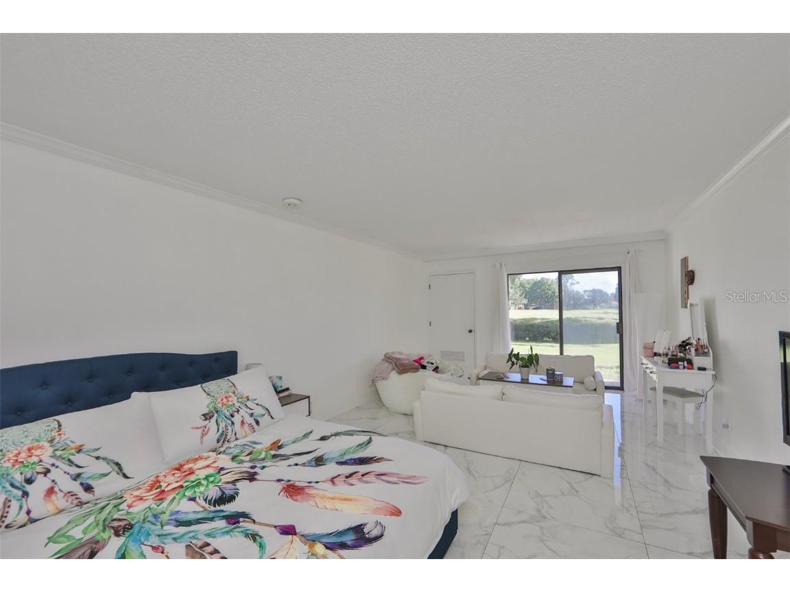 29129 S Bay Hollow Drive S #3213 Wesley Chapel FL 33543 TB8305289 image18