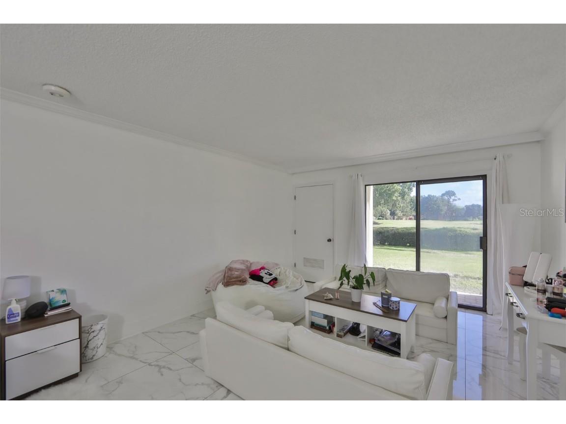 29129 S Bay Hollow Drive S #3213 Wesley Chapel FL 33543 TB8305289 image20