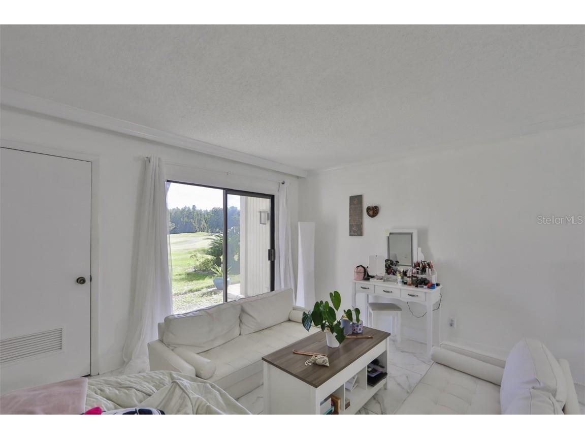 29129 S Bay Hollow Drive S #3213 Wesley Chapel FL 33543 TB8305289 image21