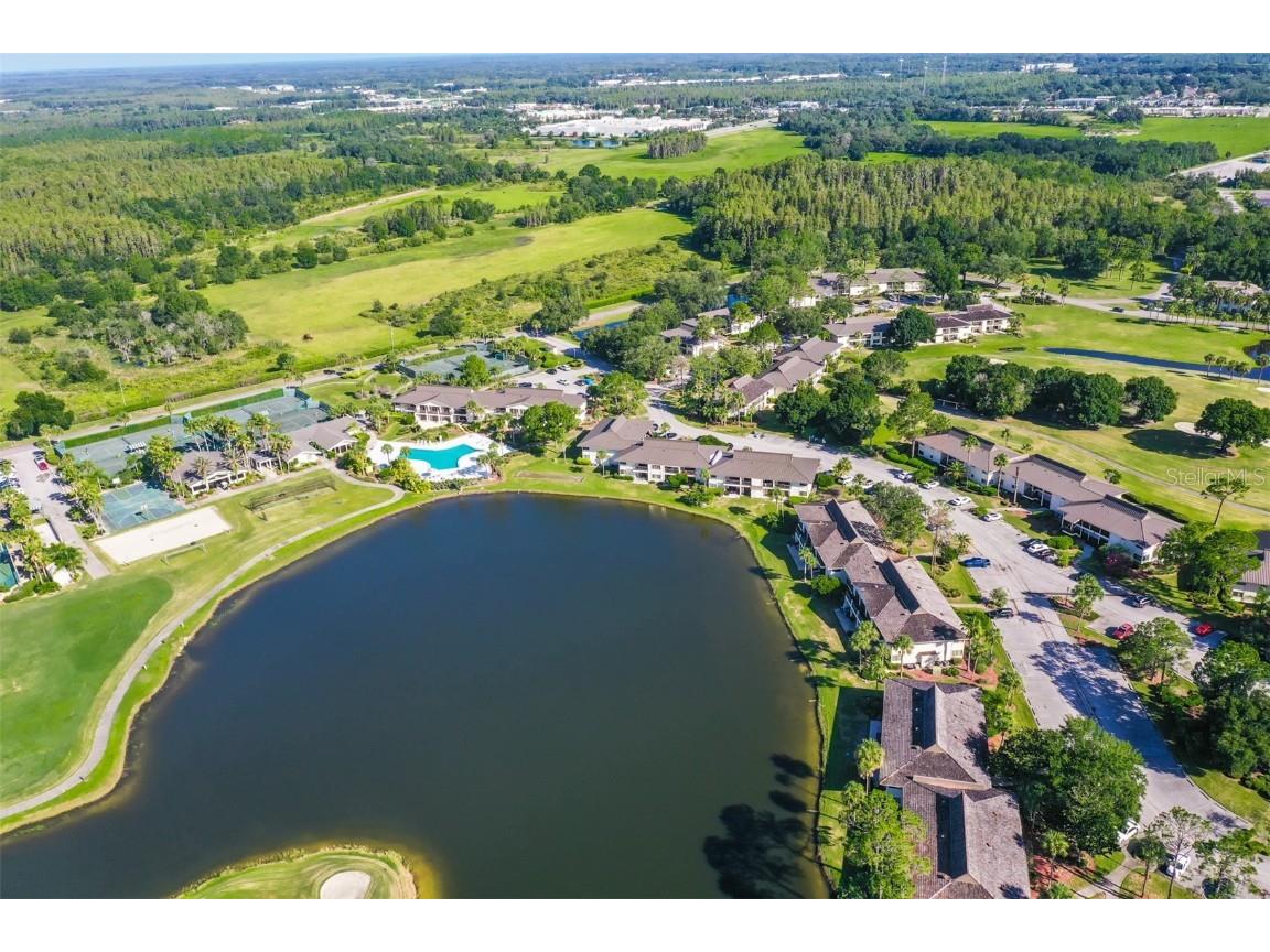 29129 S Bay Hollow Drive S #3213 Wesley Chapel FL 33543 TB8305289 image24