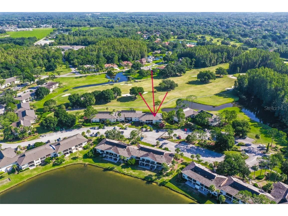 29129 S Bay Hollow Drive S #3213 Wesley Chapel FL 33543 TB8305289 image26