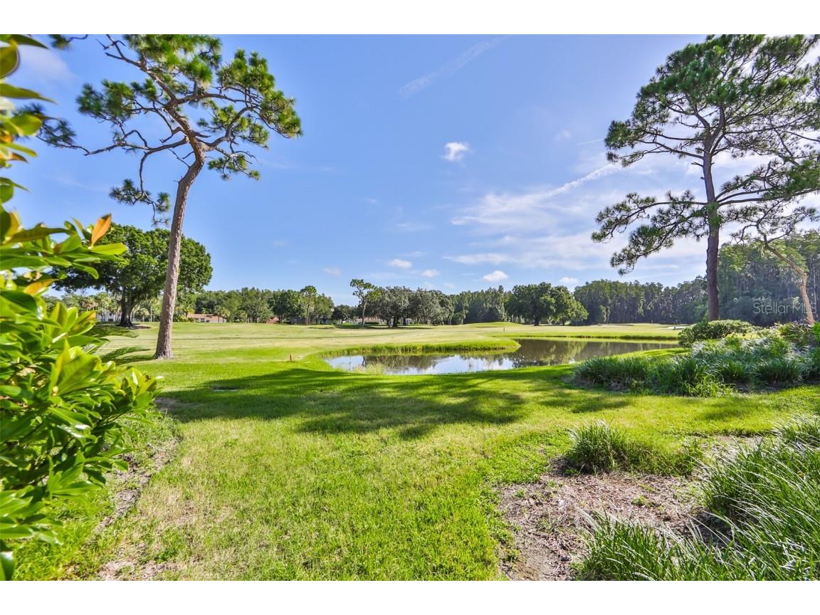 29129 S Bay Hollow Drive S #3213 Wesley Chapel FL 33543 TB8305289 image33